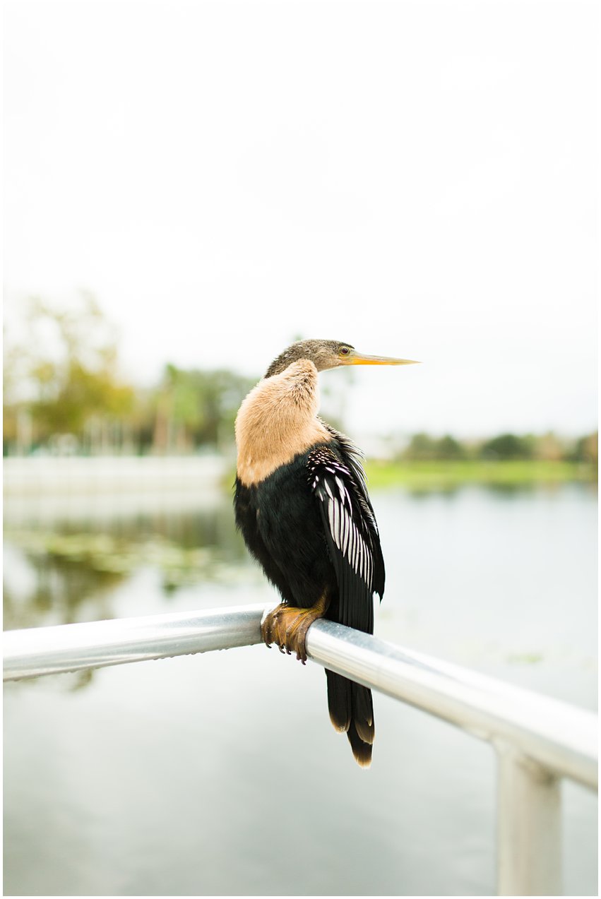 Orlando Florida Vacation Lifestyle Portrait Photographer Disney World Celebration Grandparents