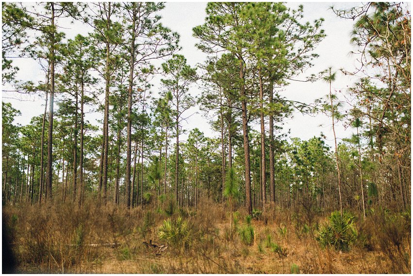 Florida Vacation Photographer Travel Ocala Silver River Grandparents