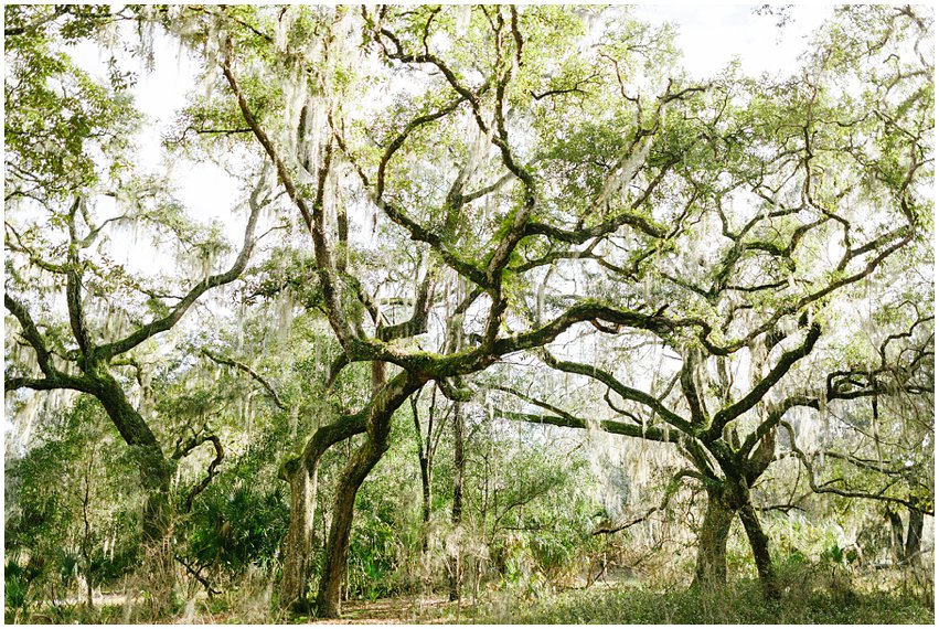 Florida Vacation Photographer Travel Ocala Silver River Grandparents