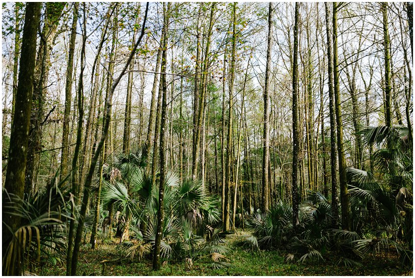 Florida Vacation Photographer Travel Ocala Silver River Grandparents