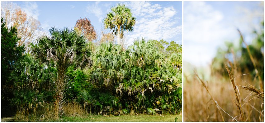 Florida Vacation Photographer Travel Ocala Silver River Grandparents