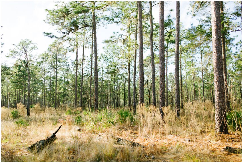 Florida Vacation Photographer Travel Ocala Silver River Grandparents