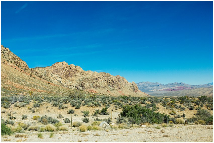 Las Vegas Photographer Lifestyle Portrait Travel Landscape The Strip Bellagio Caesars Palace Death Valley National Park