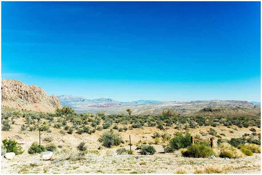 Las Vegas Photographer Lifestyle Portrait Travel Landscape The Strip Bellagio Caesars Palace Death Valley National Park