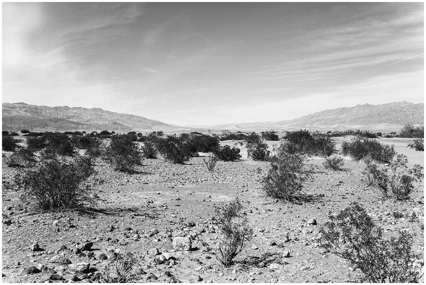 Las Vegas Photographer Lifestyle Portrait Travel Landscape The Strip Bellagio Caesars Palace Death Valley National Park