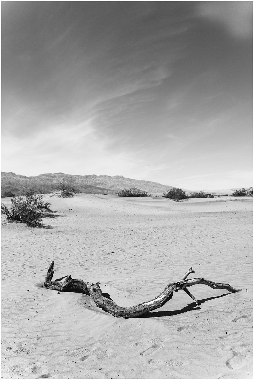 Las Vegas Photographer Lifestyle Portrait Travel Landscape The Strip Bellagio Caesars Palace Death Valley National Park