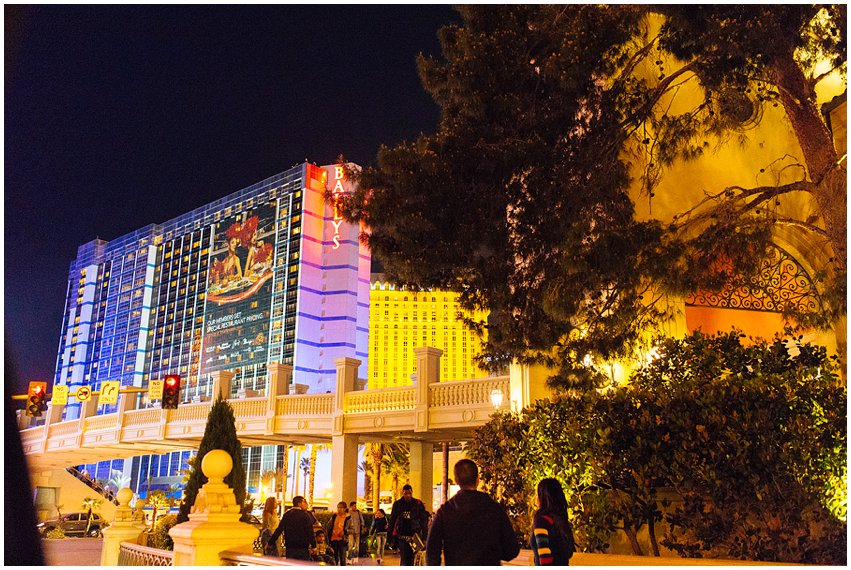 Las Vegas Photographer Lifestyle Portrait Travel Landscape The Strip Bellagio Caesars Palace Death Valley National Park