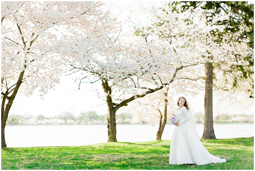 Cherry Blossom Bridal Portraits Bride Vintage Wedding Gown Dress Spring Military Base DC Tidal Basin Purple and Ivory Bouquet