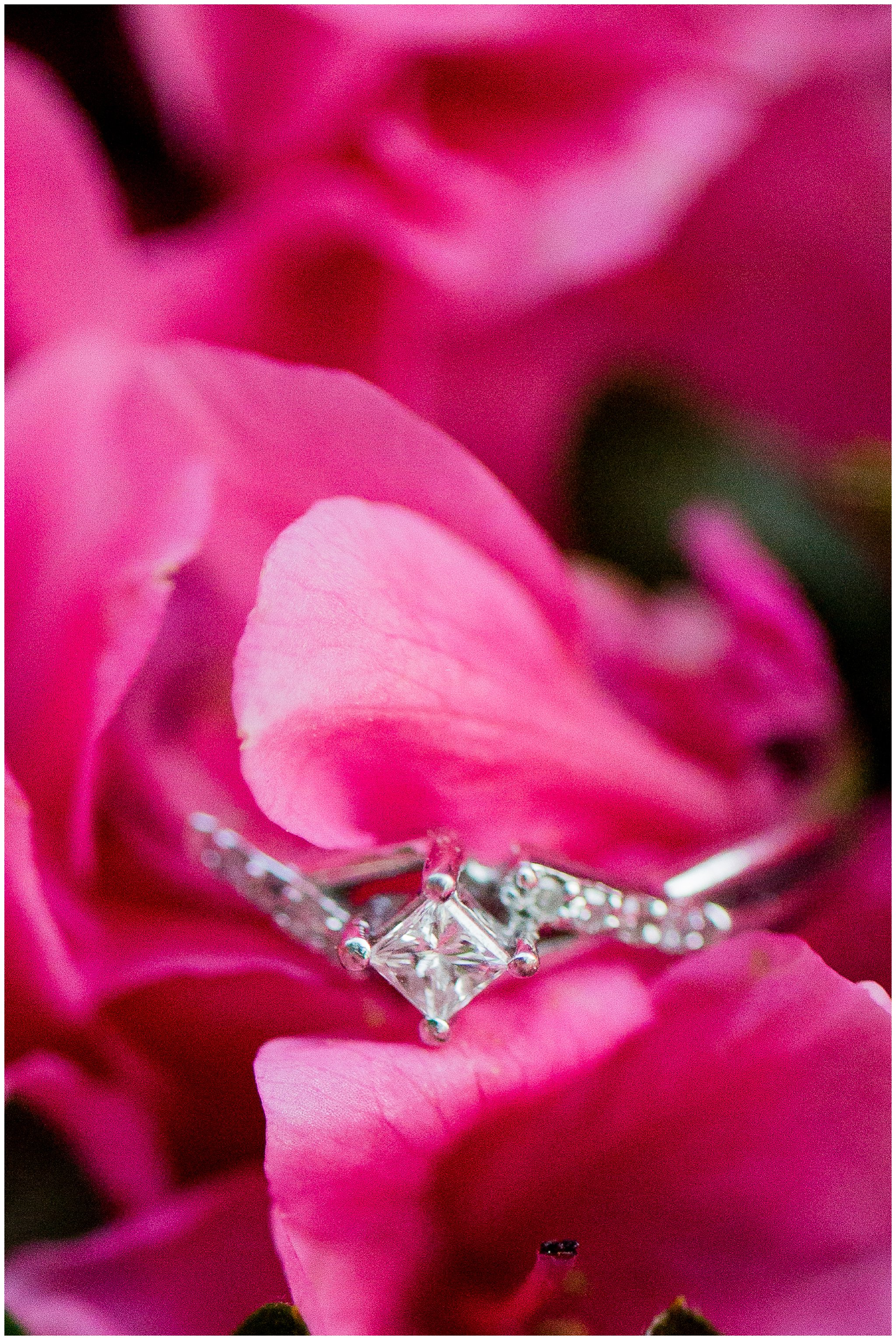 Maymont Richmond Engagement Session Engaged Couple Garden Park Gazebo Fairytale Love