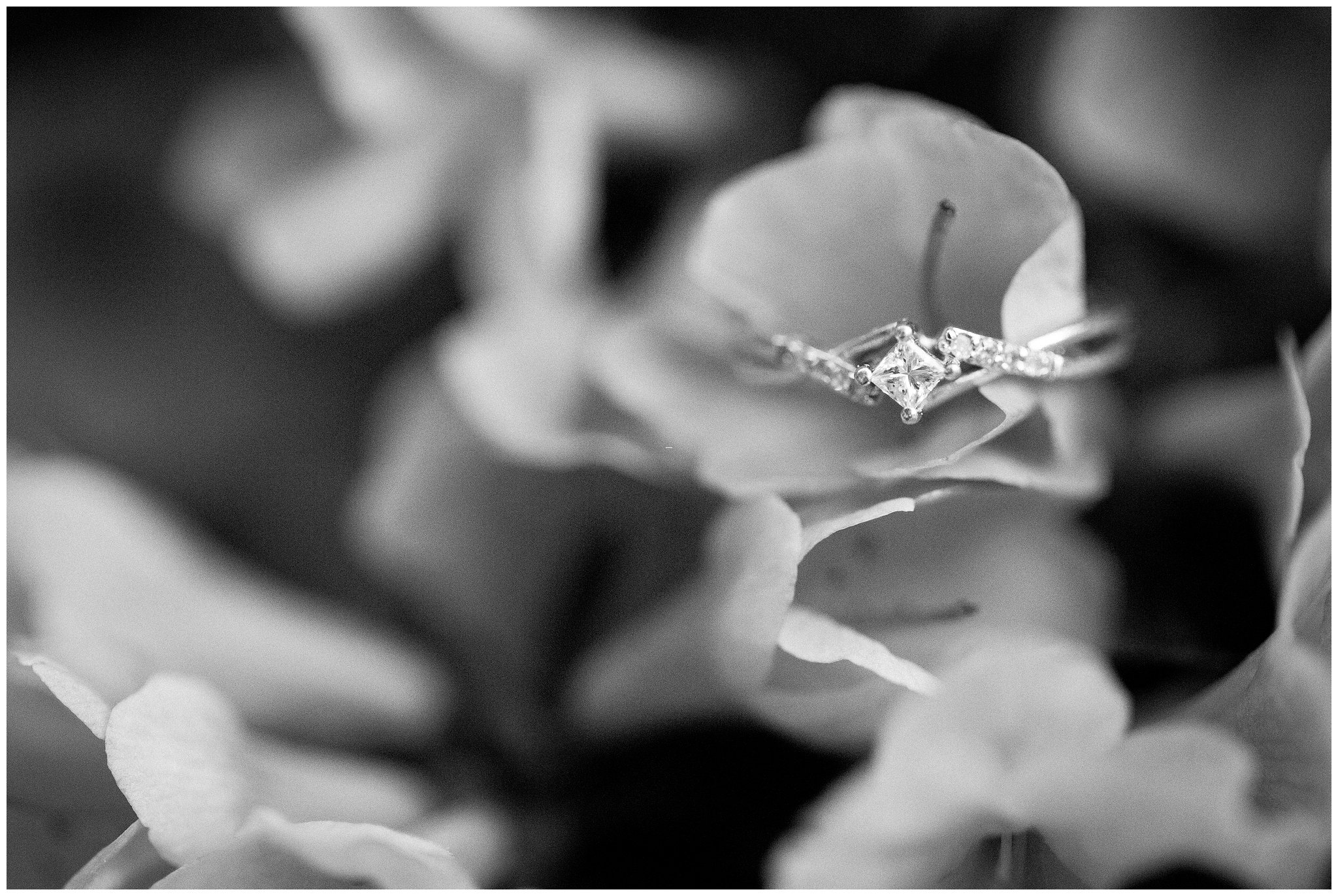 Maymont Richmond Engagement Session Engaged Couple Garden Park Gazebo Fairytale Love