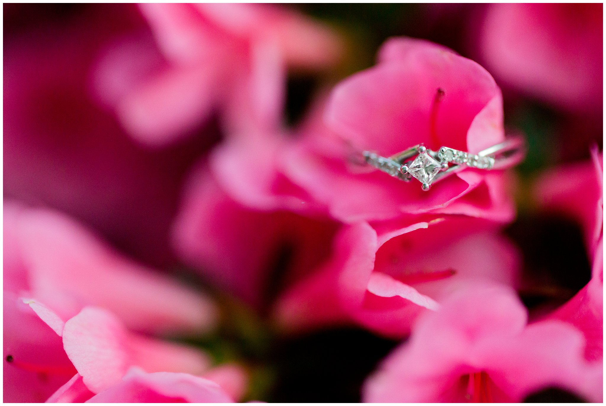 Maymont Richmond Engagement Session Engaged Couple Garden Park Gazebo Fairytale Love