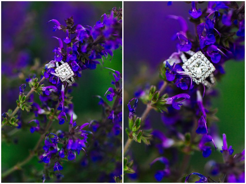 Annapolis Engagement Session Nautical Waterfront Boat Marina Shoot Photographer Virginia Maryland DC Megan Kelsey 