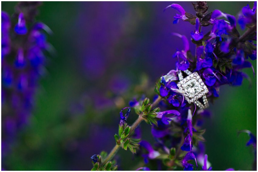 Annapolis Engagement Session Nautical Waterfront Boat Marina Shoot Photographer Virginia Maryland DC Megan Kelsey 