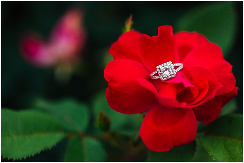 Annapolis Engagement Session Nautical Waterfront Boat Marina Shoot Photographer Virginia Maryland DC Megan Kelsey 