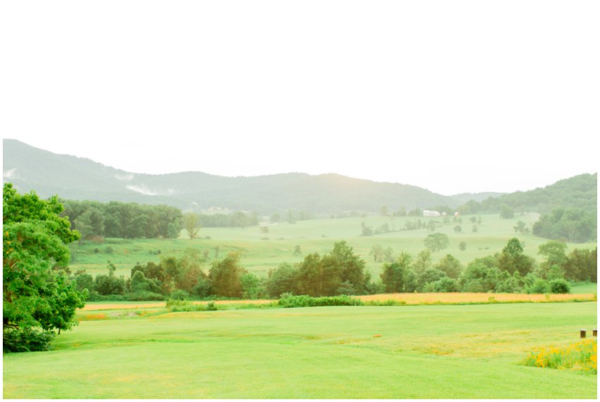 Pippin Hill Charlottesville Wedding Photographer Portraits Mountains Swananoa Chiles Peaches Orchard