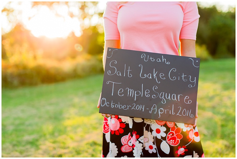 Northern Virginia Family Portrait Photographer