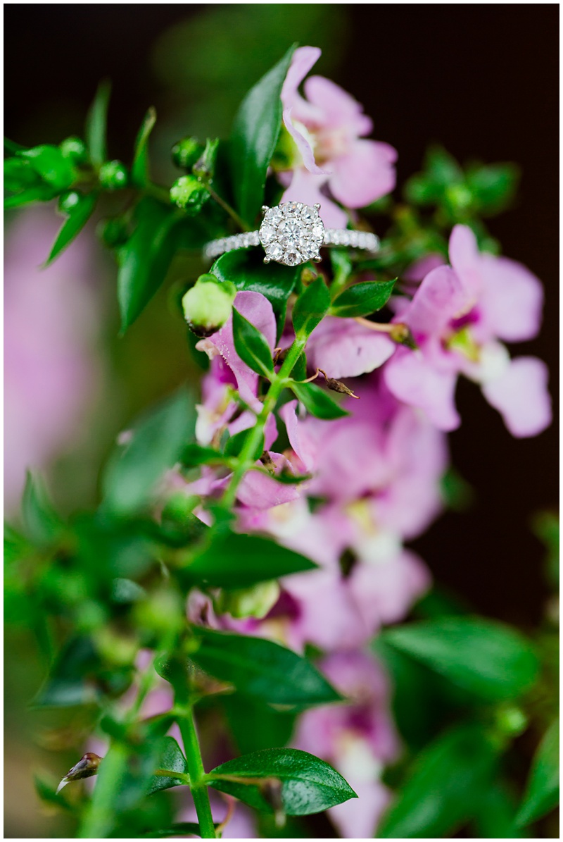 National Harbor Engagement Shoot