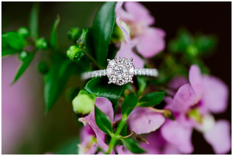 National Harbor Engagement Shoot