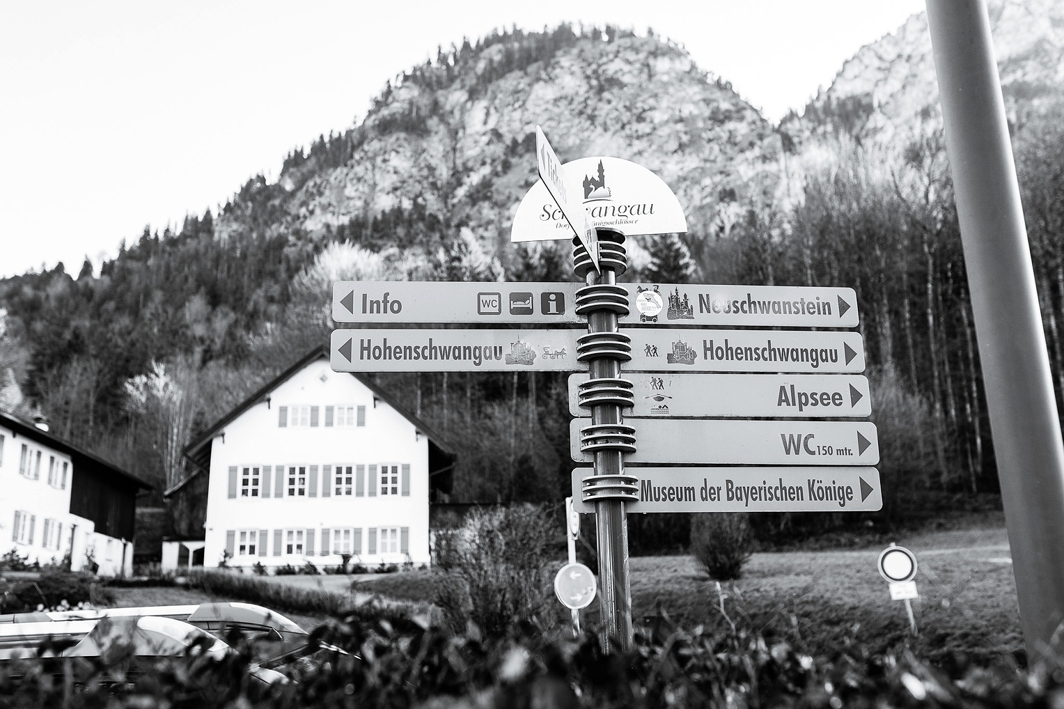 Neuschwanstein Castle Fairytale Proposal 