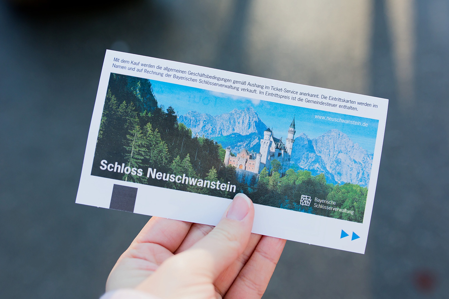 Neuschwanstein Castle Fairytale Proposal 