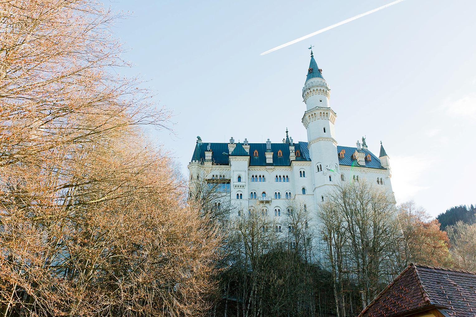 Neuschwanstein Castle Fairytale Proposal 