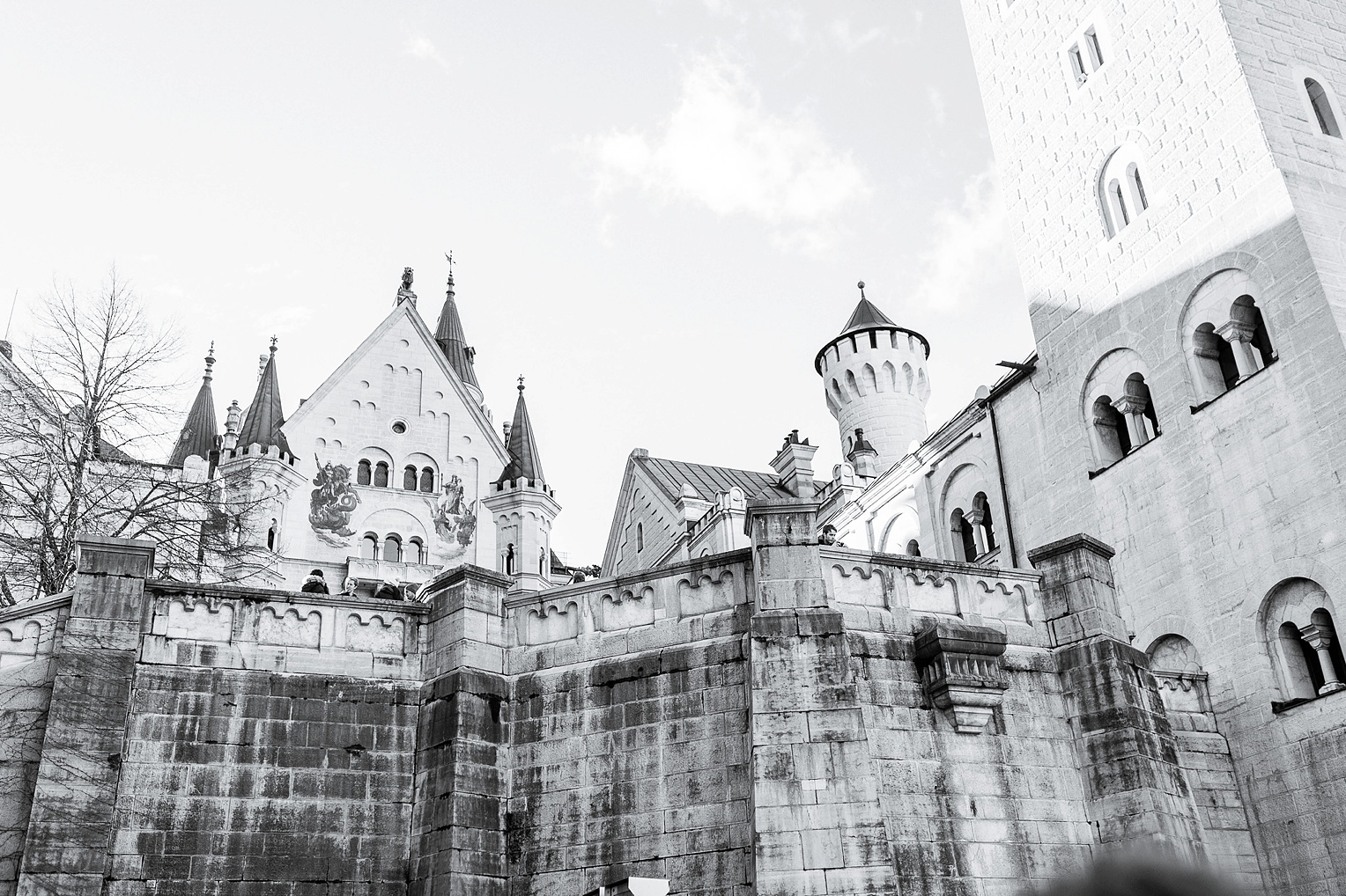 Neuschwanstein Castle Fairytale Proposal 