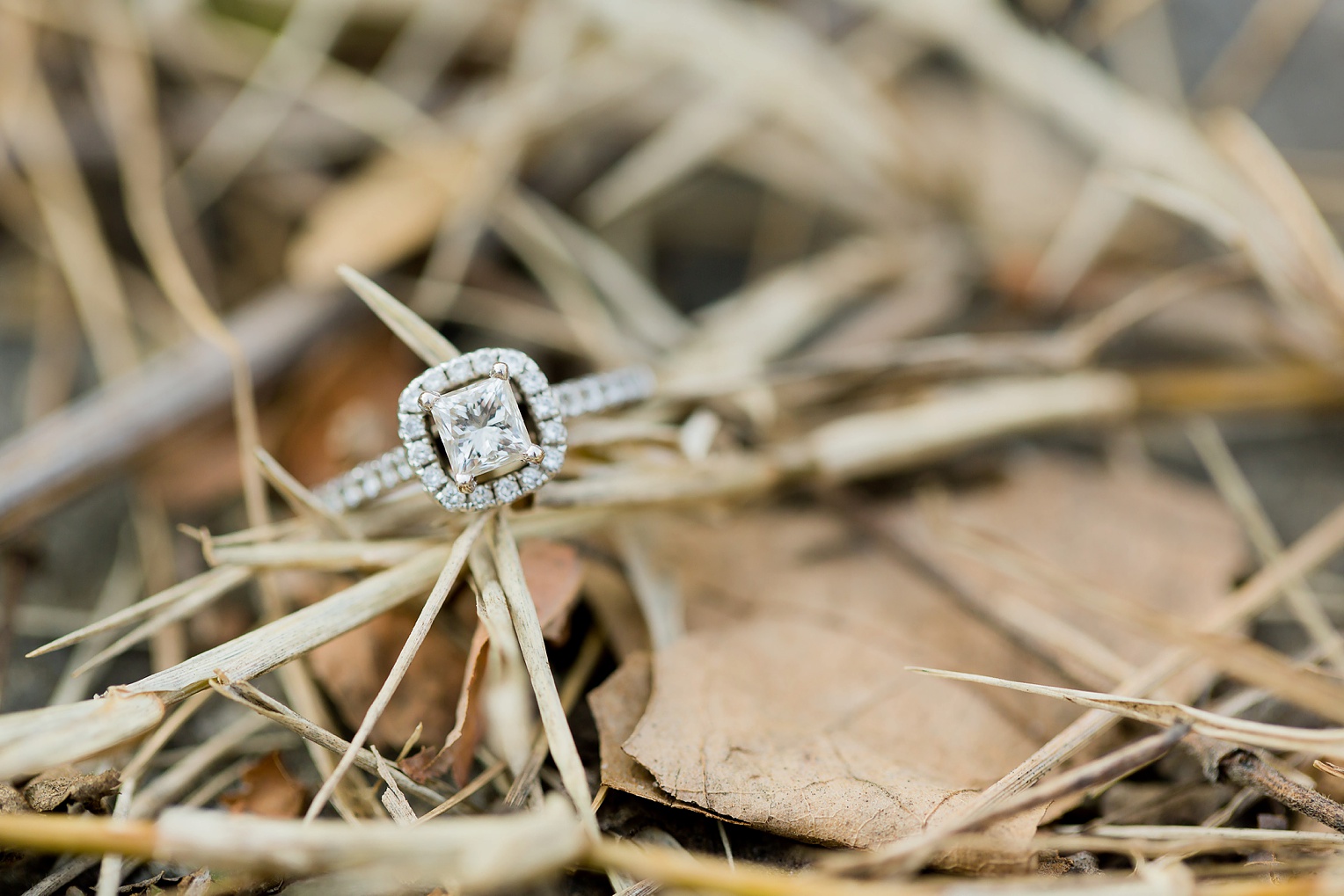 Historic Occoquan Virginia Winter Engagement Session 