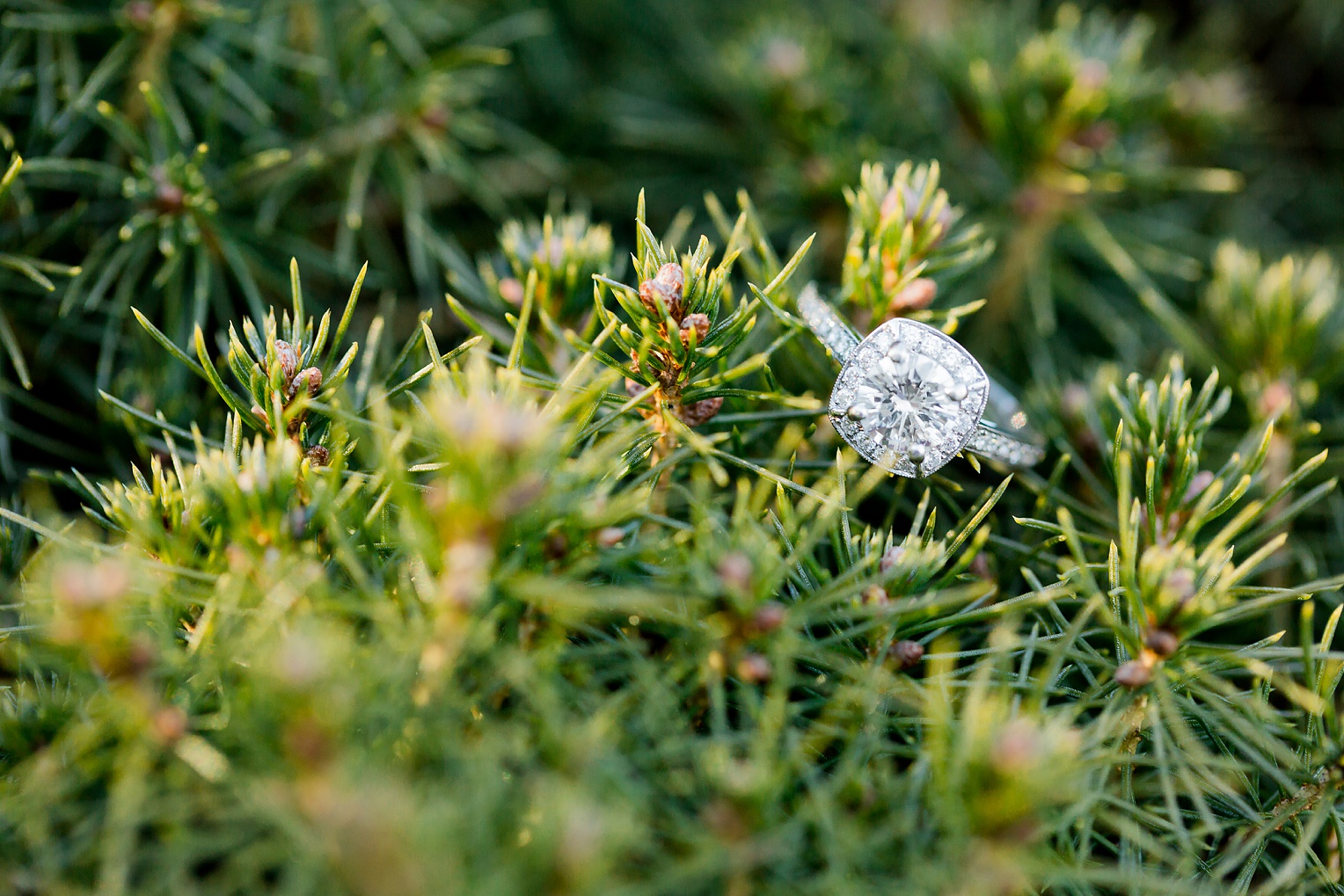 Jerusalem Mill Engagement Session Abingdon Wedding Photographer