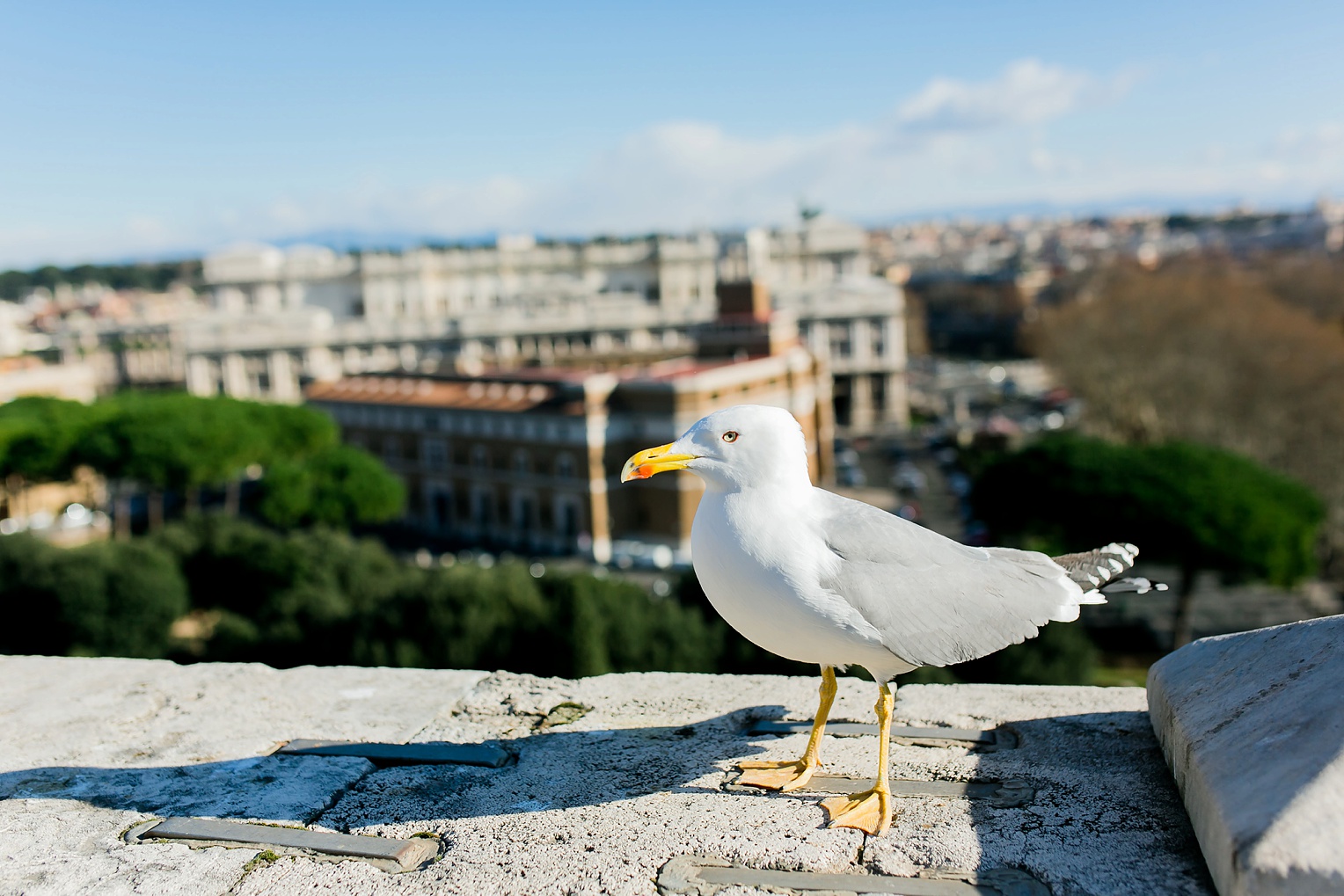 Megan Kelsey Photography Christmas in Europe Vatican City Trevi Fountain Paul's Outside the Walls Rome Italy