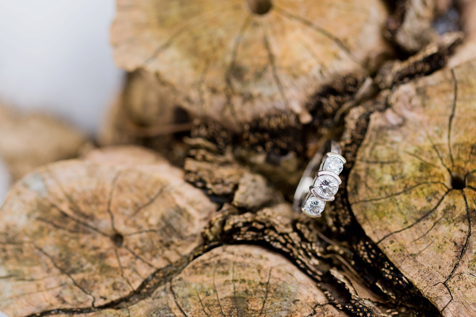 Quiet Waters Park Engagement Session Annapolis Maryland Engagement Megan Kelsey Photography