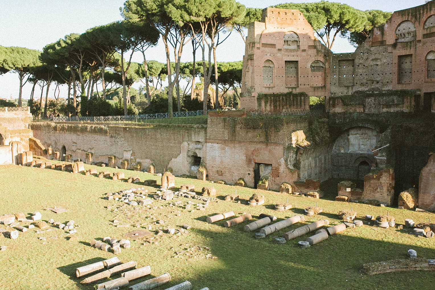 Christmas in Europe Roman Forum Colosseum Palatino