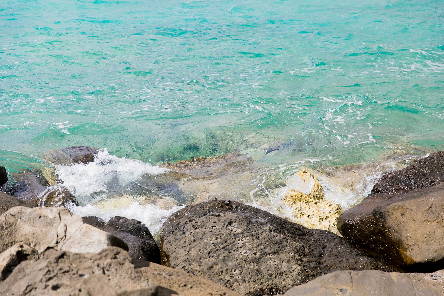 Hawaii Oahu Botanical Gardens Ko'olina Lagoon-9222.jpg