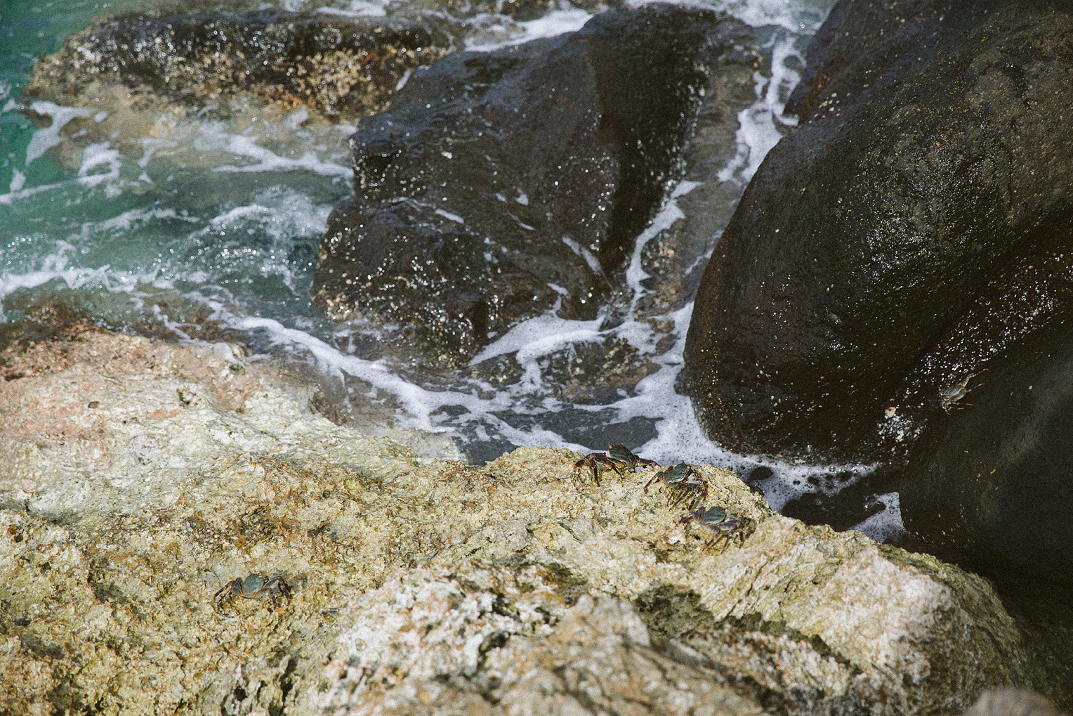 Hawaii Oahu Botanical Gardens Ko'olina Lagoon-9230.jpg