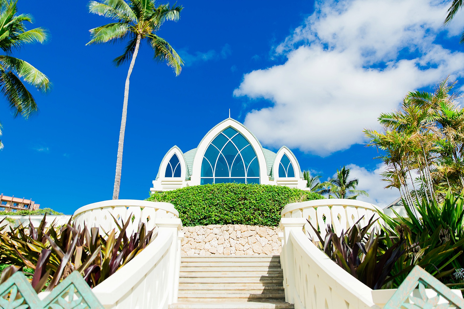 Hawaii Oahu Botanical Gardens Ko'olina Lagoon-9257.jpg