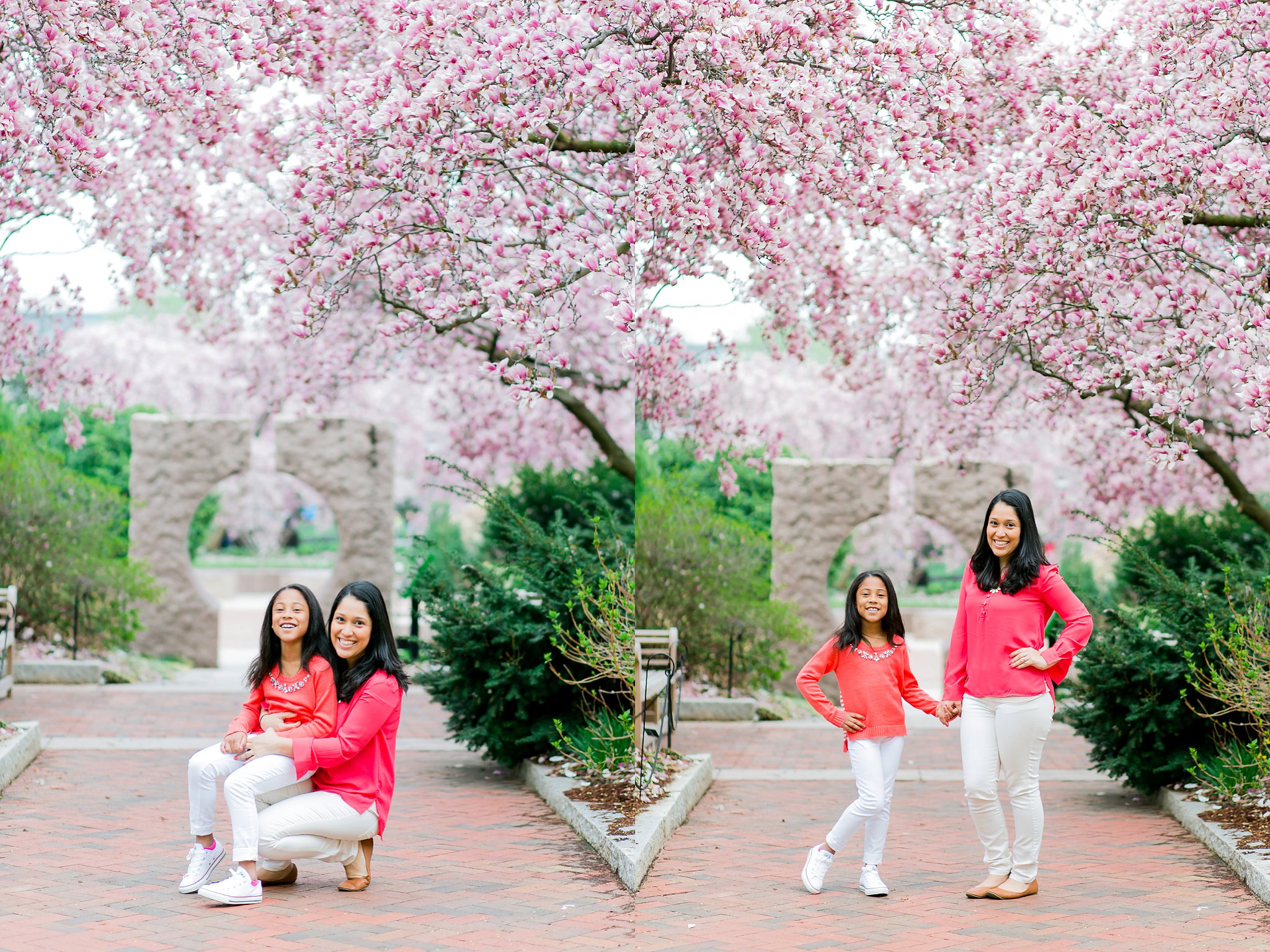 Cherry Blossom Family Portraits DC Photography-5843.jpg