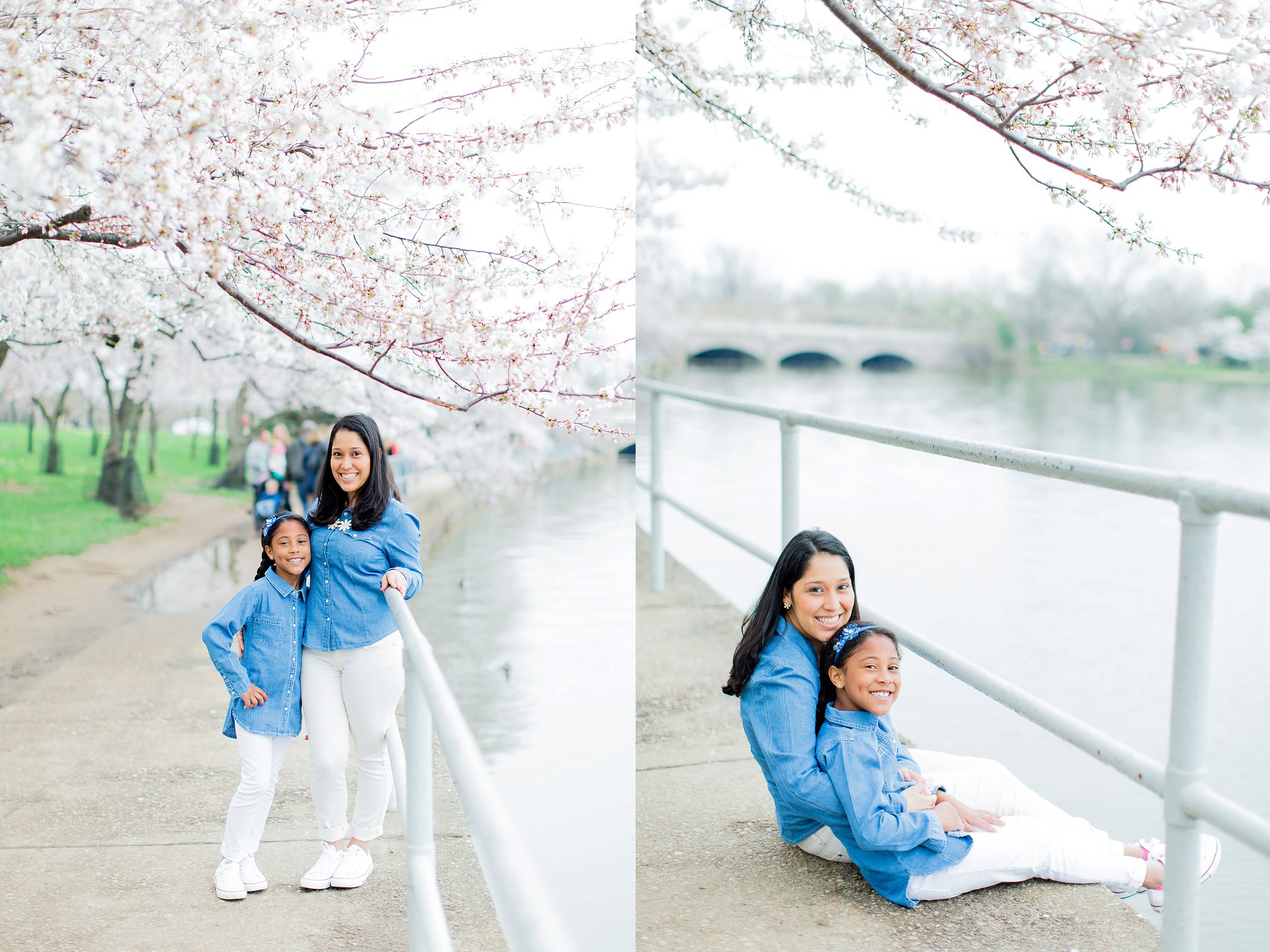 Cherry Blossom Family Portraits DC Photography-6314.jpg