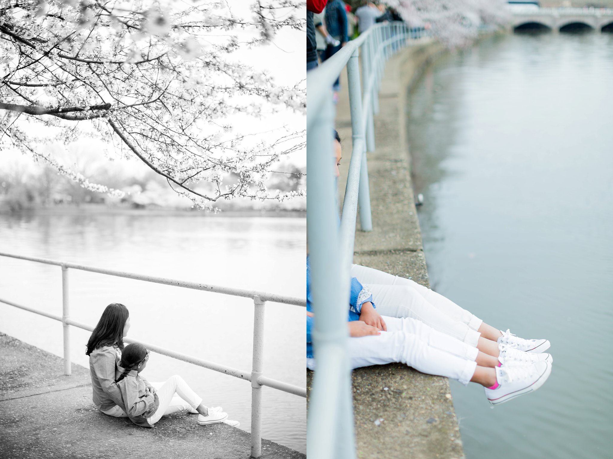 Cherry Blossom Family Portraits DC Photography-6344-2.jpg