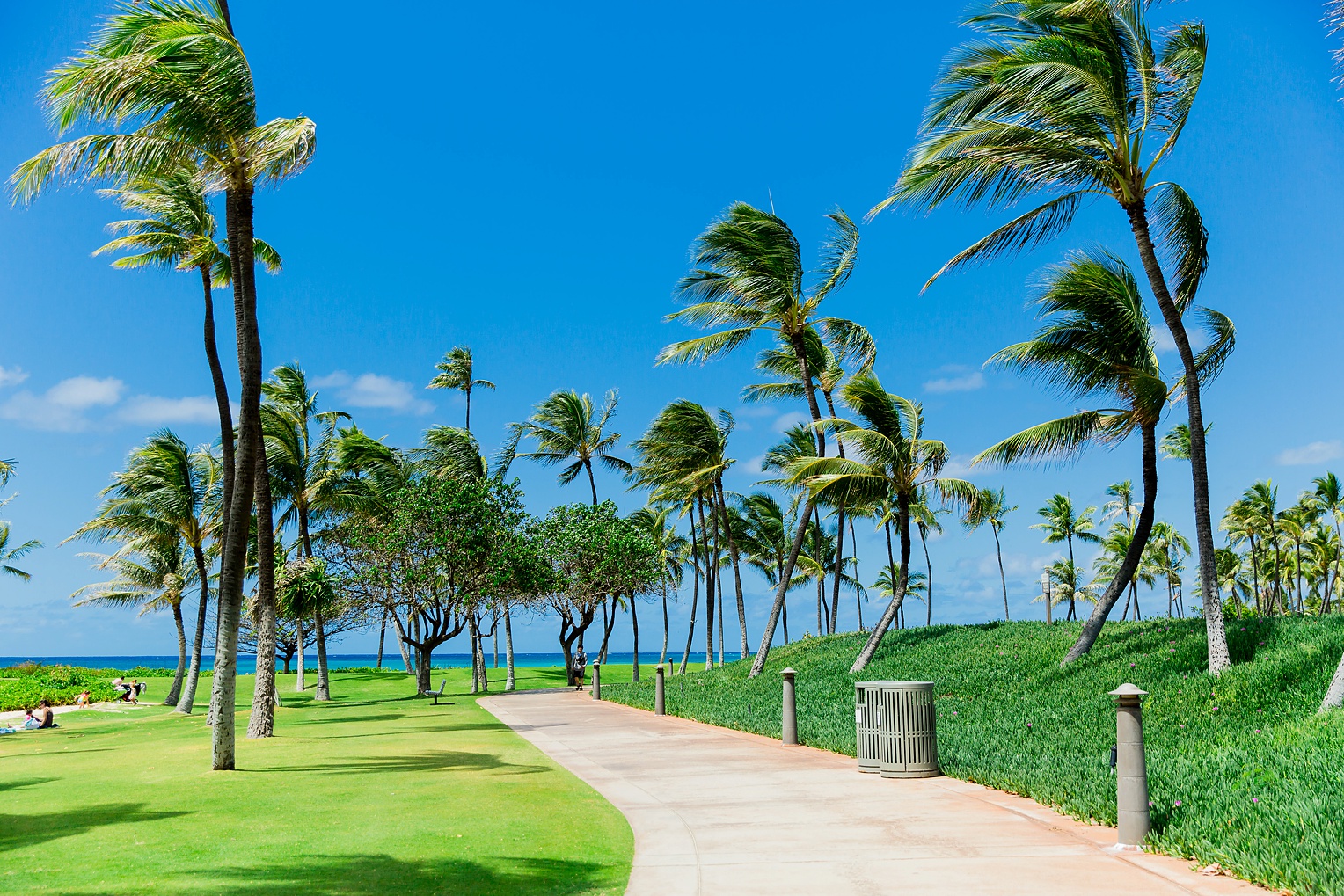 Megan Kelsey Photography Hawaii Oahu Byodo Temple Diamondhead Hike Waikiki Pearl Harbor-0899.jpg