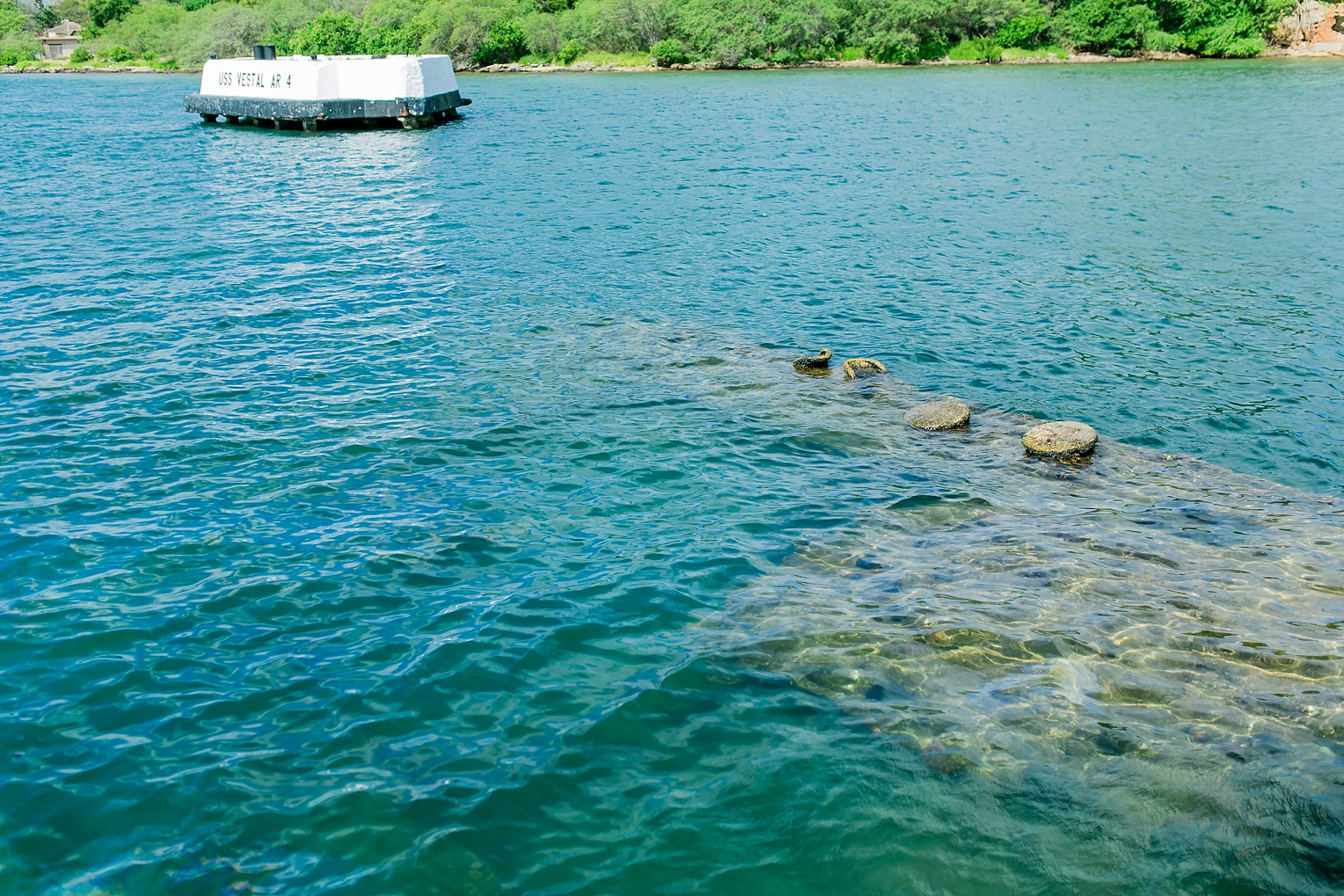 Megan Kelsey Photography Hawaii Oahu Byodo Temple Diamondhead Hike Waikiki Pearl Harbor-1578.jpg