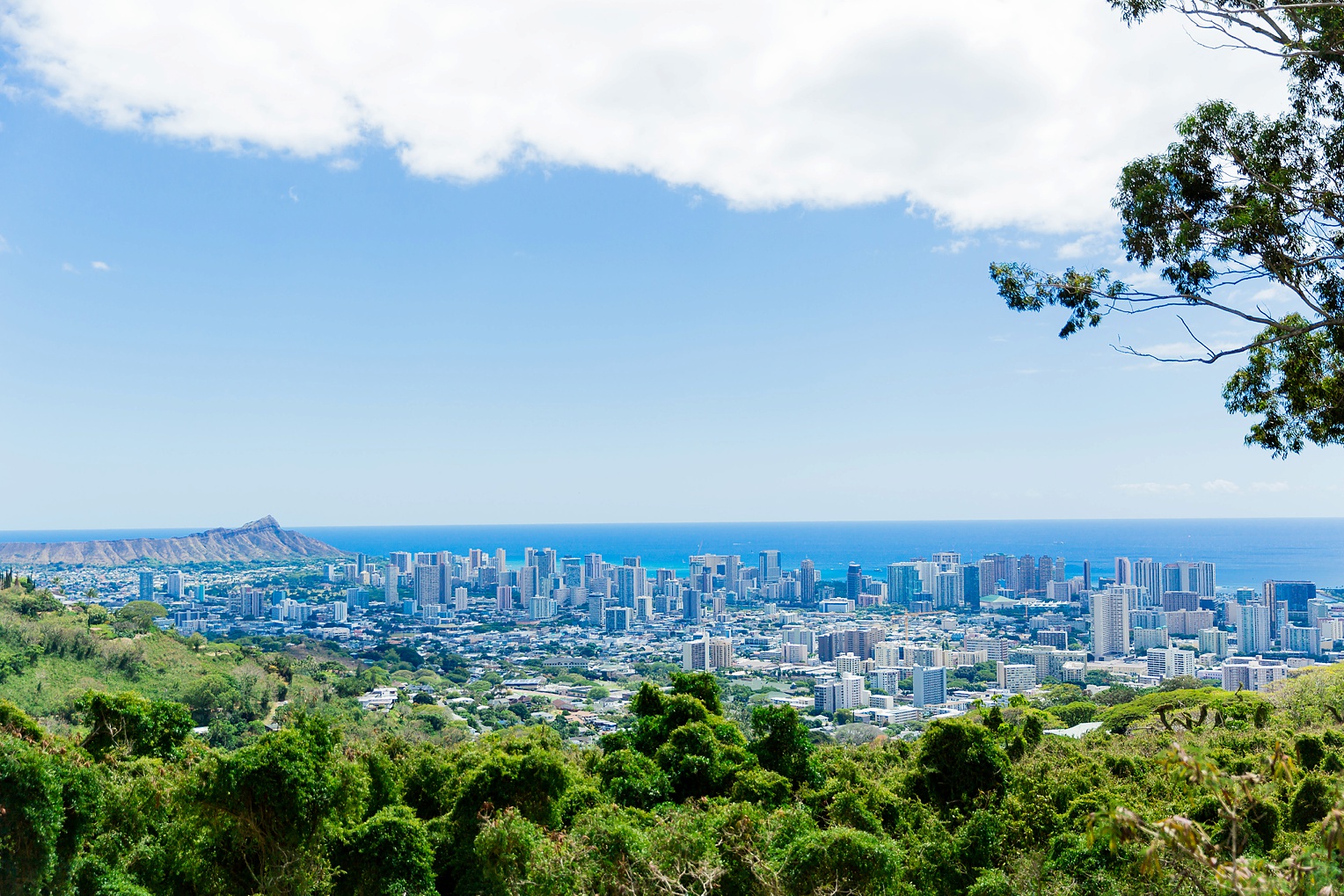 Megan Kelsey Photography Hawaii Oahu Byodo Temple Diamondhead Hike Waikiki Pearl Harbor-1861.jpg