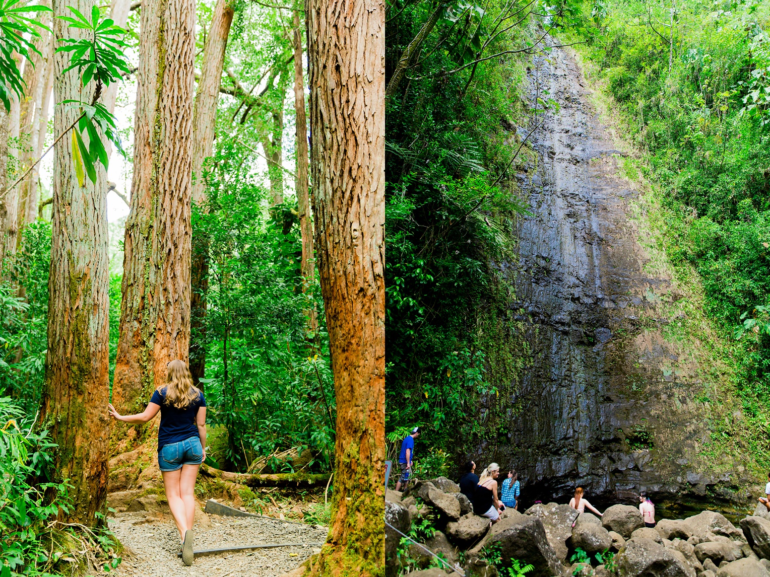 Megan Kelsey Photography Hawaii Oahu Byodo Temple Diamondhead Hike Waikiki Pearl Harbor-1909.jpg