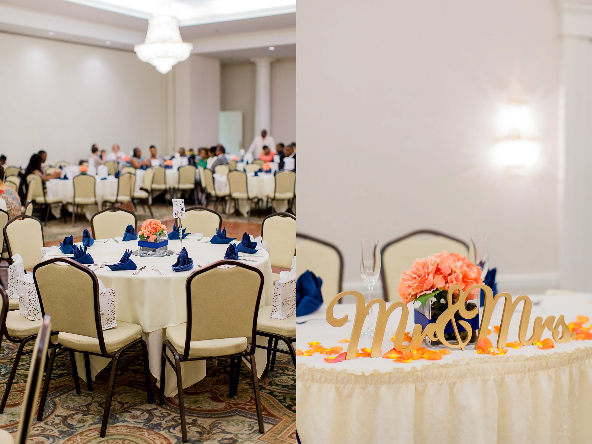 Waterford Springfield Wedding Photography Dyanna & Brian Megan Kelsey Photography-460.jpg