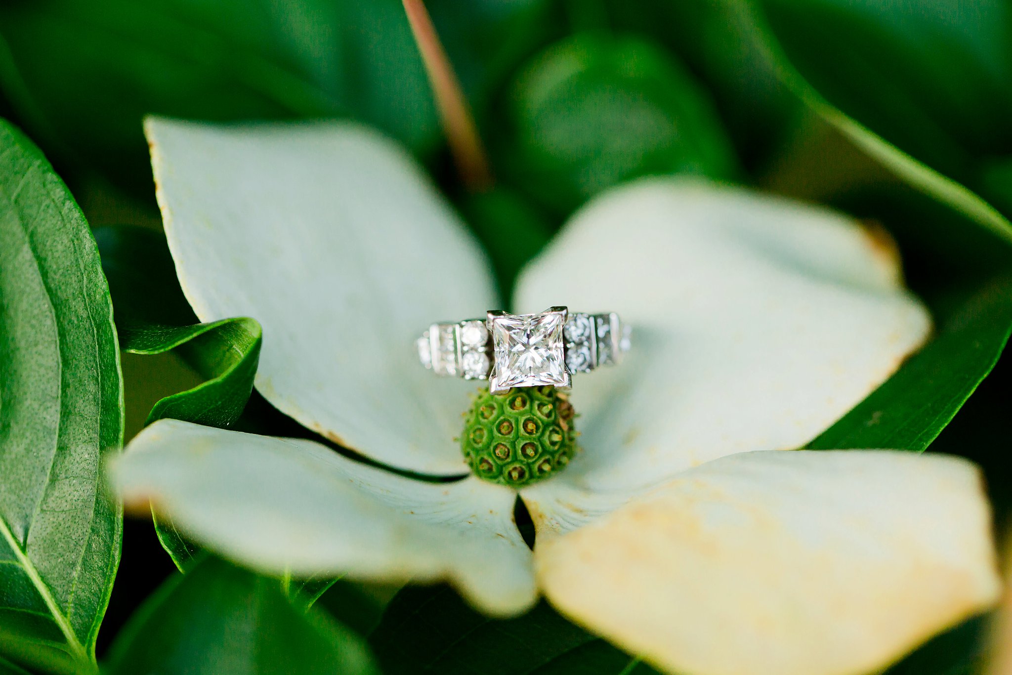 Thin & Phil Meridian Hill Park DC Engagement Photos-125.jpg