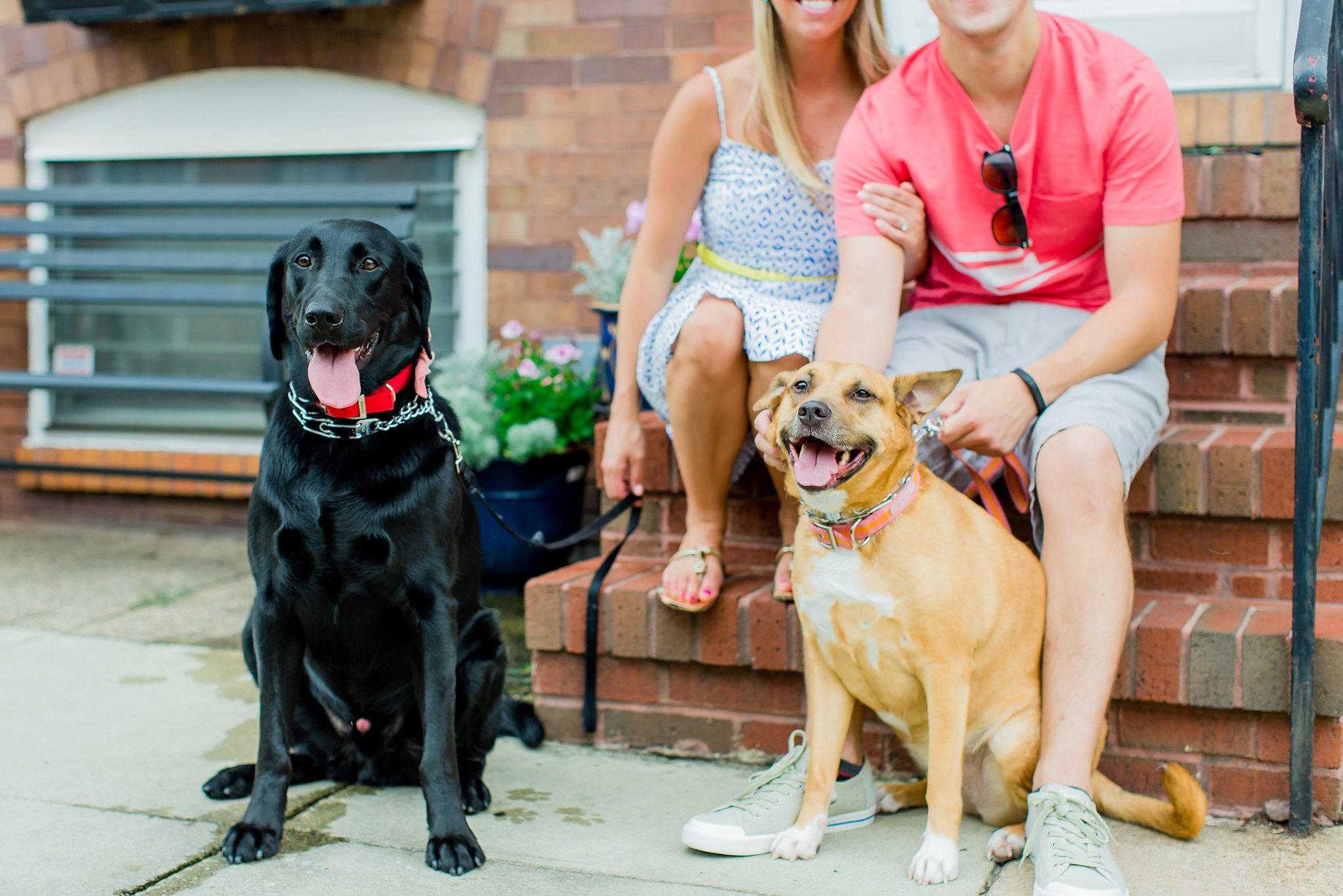 Baltimore Engagement Photos Maryland Engagement Photographer Kim & Max Megan Kelsey Photography-7030.jpg