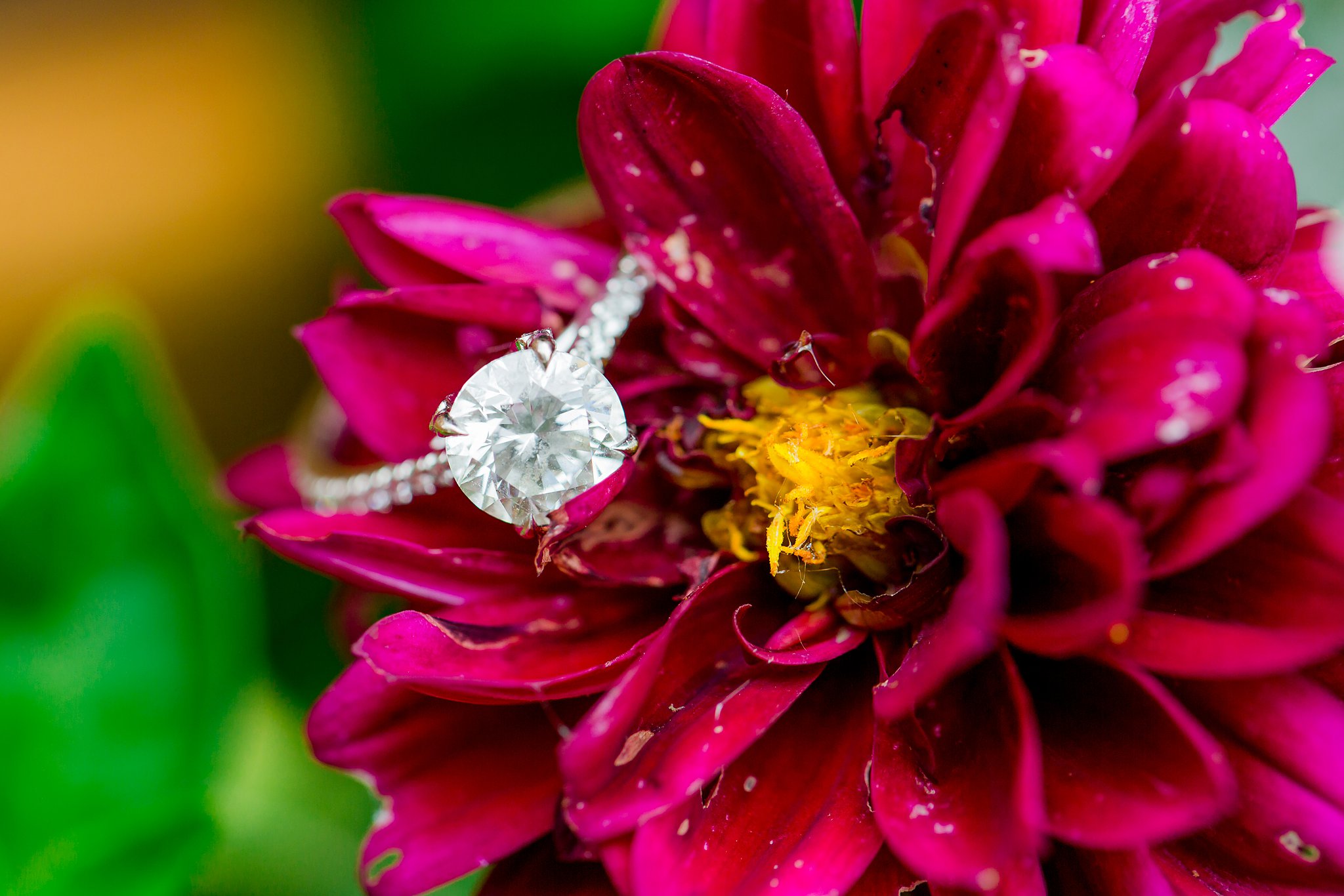 Baltimore Engagement Photos Maryland Engagement Photographer Kim & Max Megan Kelsey Photography-7223.jpg