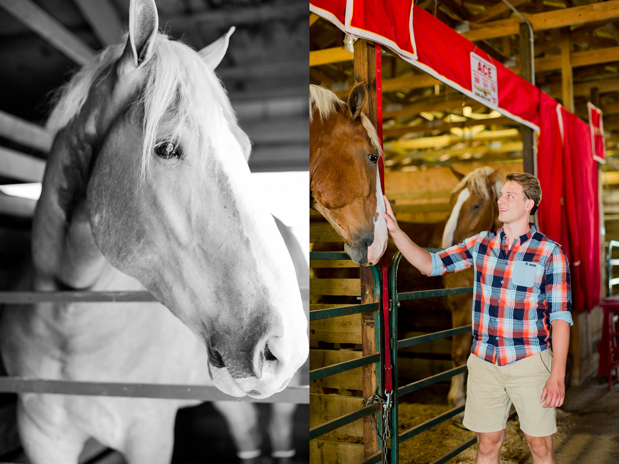 Elkhart County 4H Fair 2015 Megan Kelsey Photography-8234.jpg