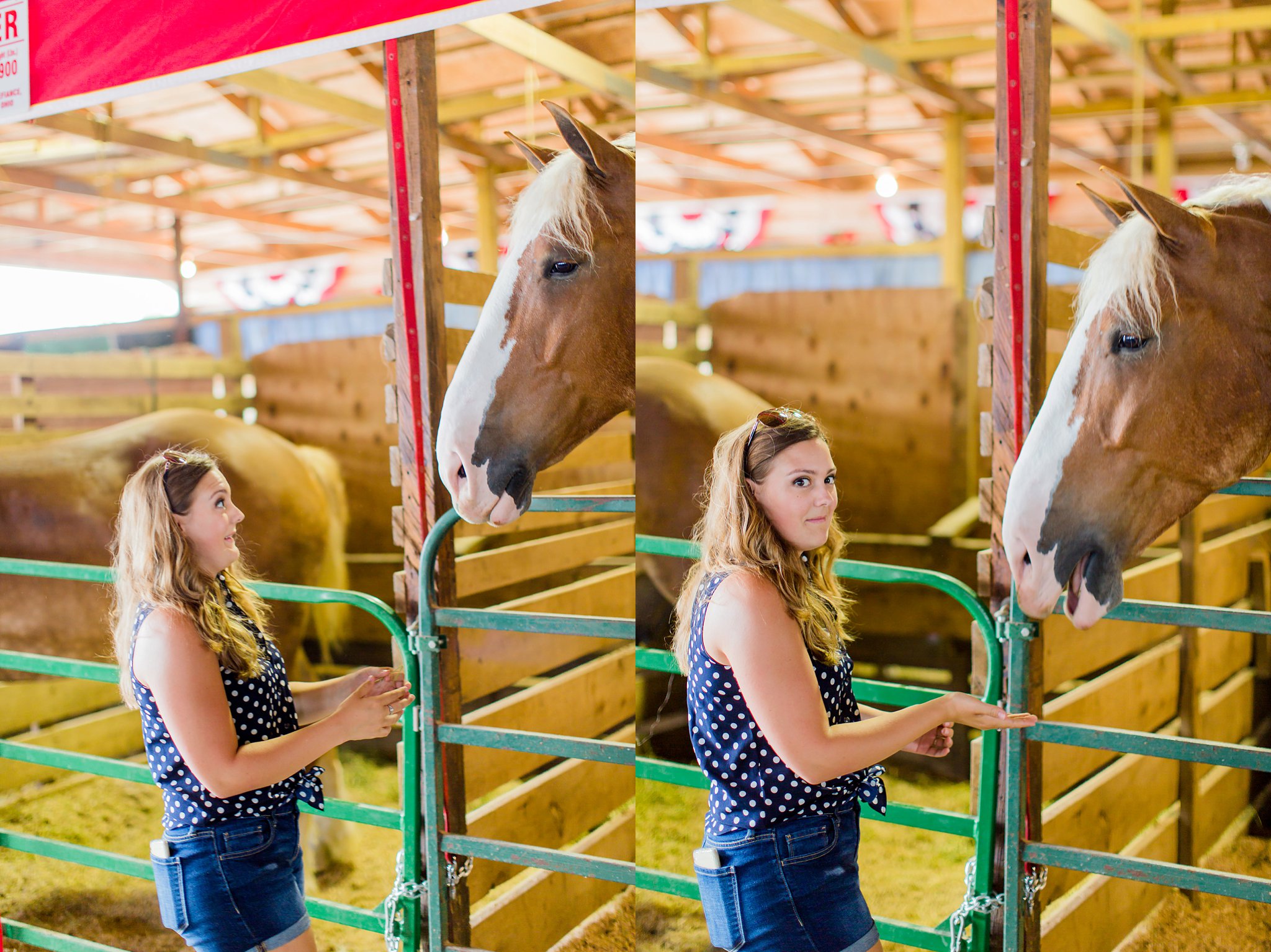 Elkhart County 4H Fair 2015 Megan Kelsey Photography-8255.jpg