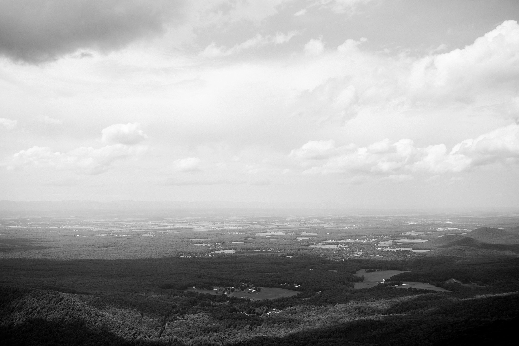 Raven's Roost Photography Megan Kelsey Photography-0541.jpg