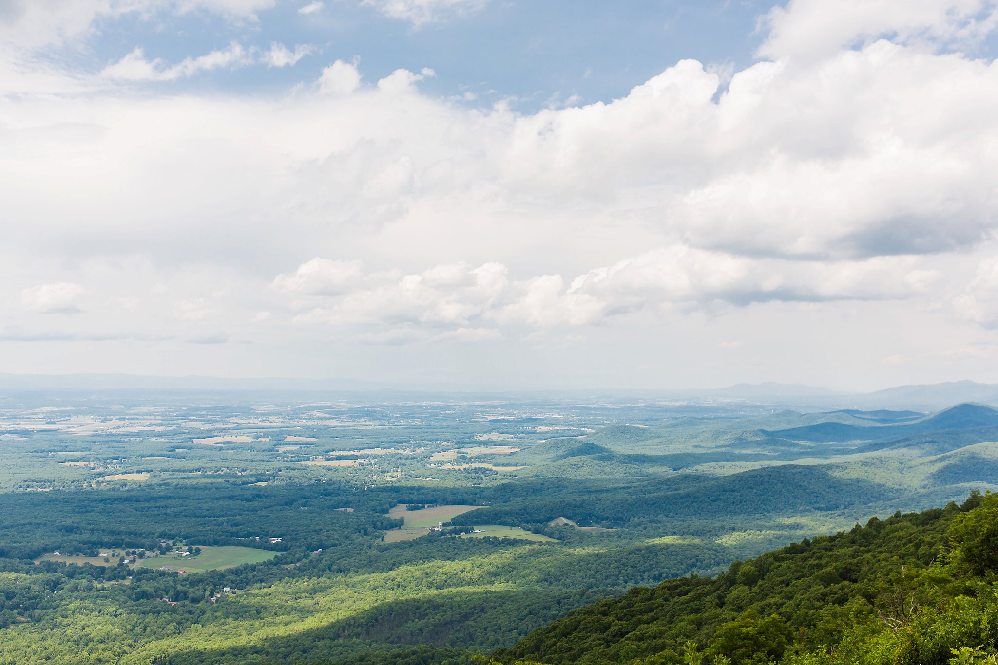 Raven's Roost Photography Megan Kelsey Photography-0543.jpg