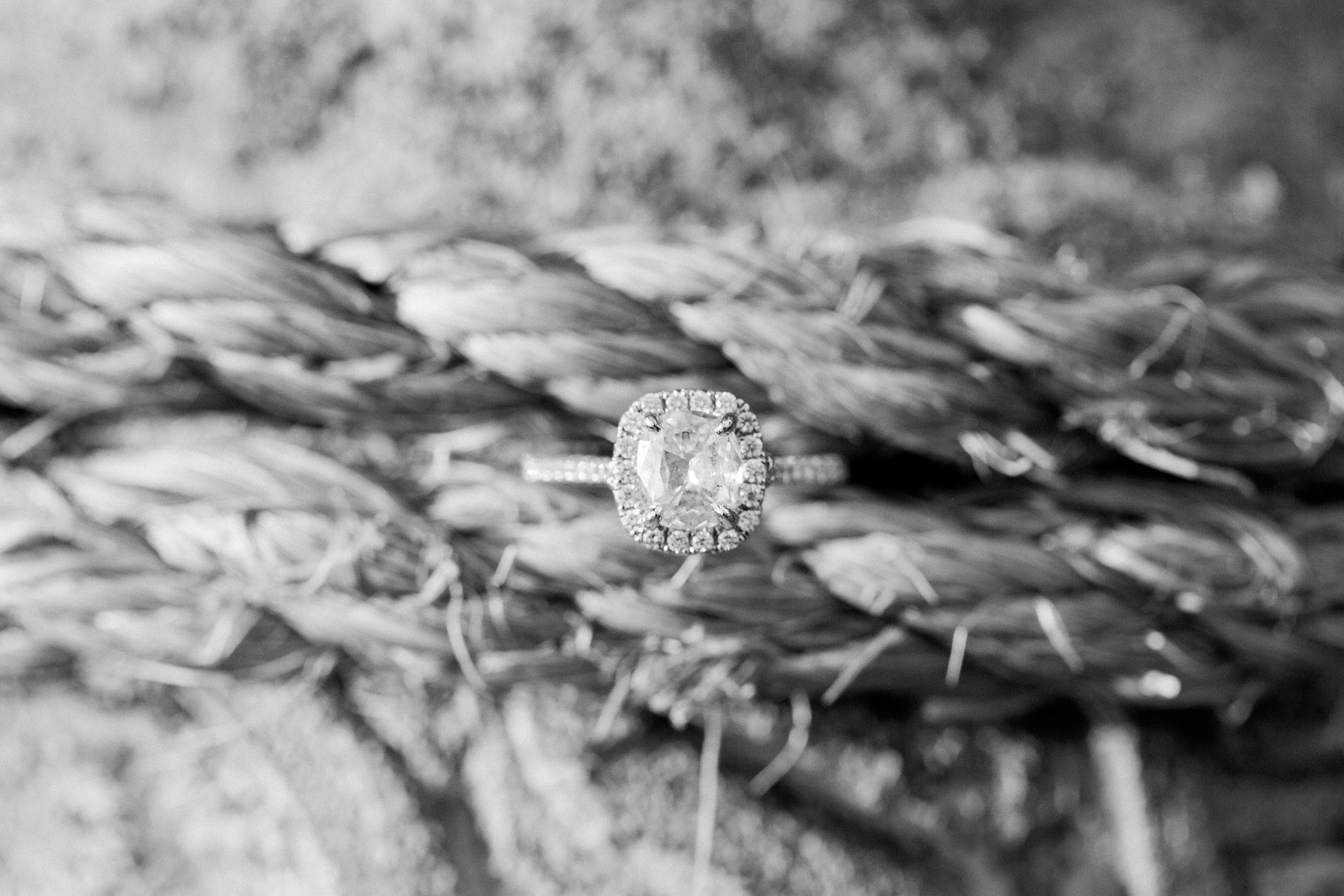 Naval Academy Engagement Photos Annapolis Wedding Photographer Megan Kelsey Photography Megan & Travis-84.jpg